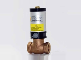 GV600 Series Globe Valve